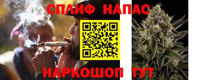 молекула духа Нарткала